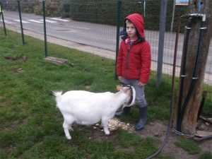 dscf1768