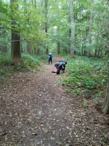 img_20161012_103142