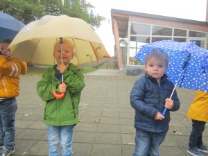 img_30411