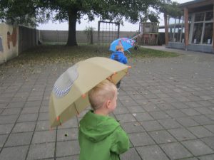 img_30491