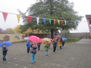 img_30551