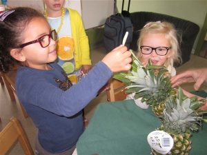 img_5147