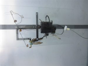 IMG_5651