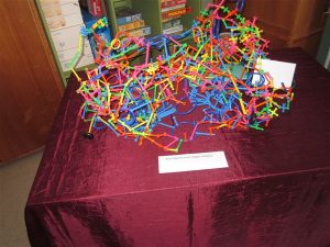 IMG_5796
