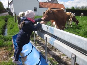 IMG_5841