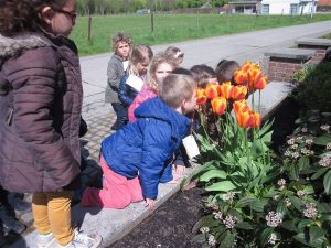 IMG_5847