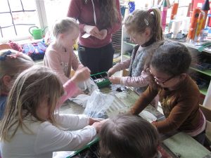 IMG_5967